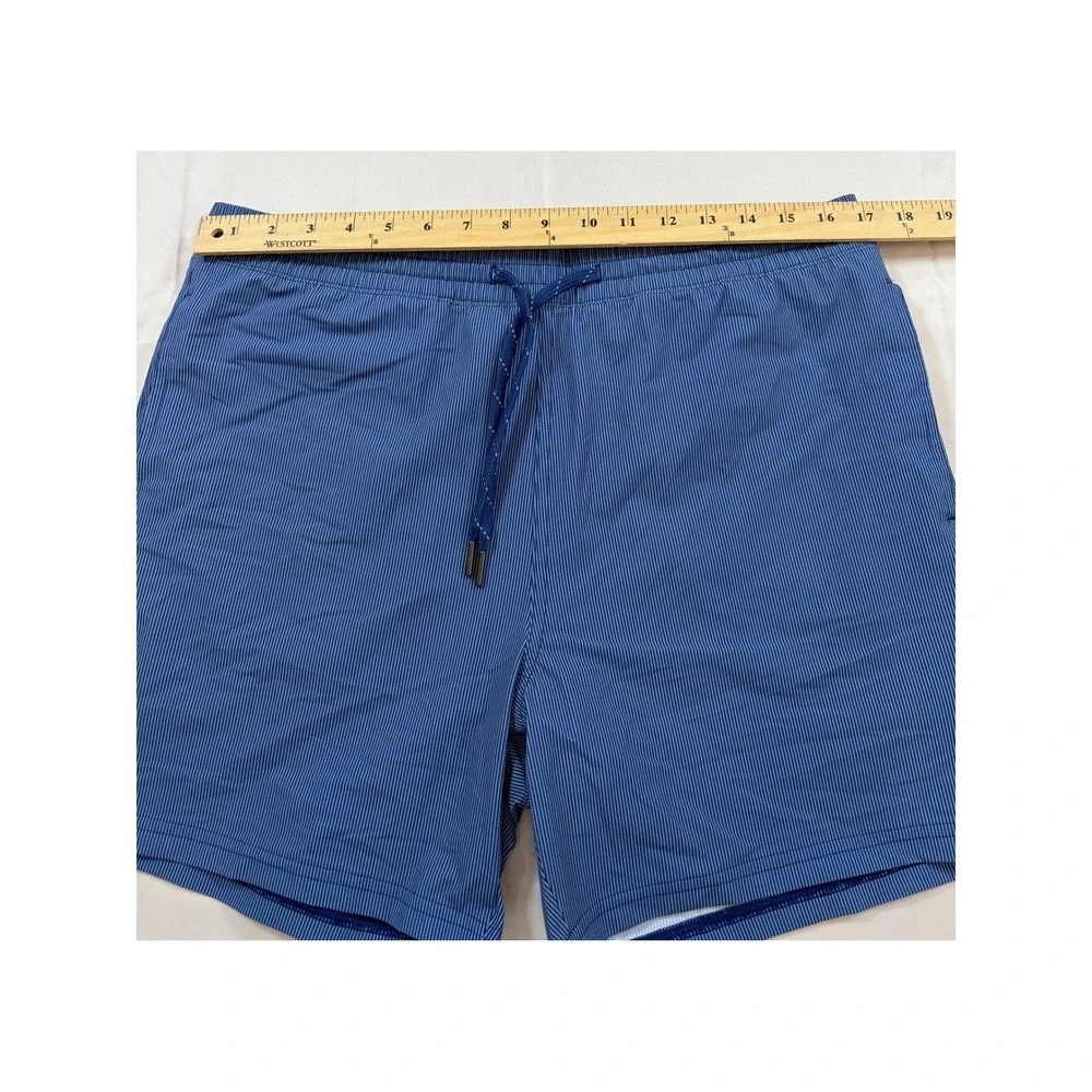 Quince Mens Blue Pinstripe Swim Shorts Trunks Mesh Lining Size L Quick Dry